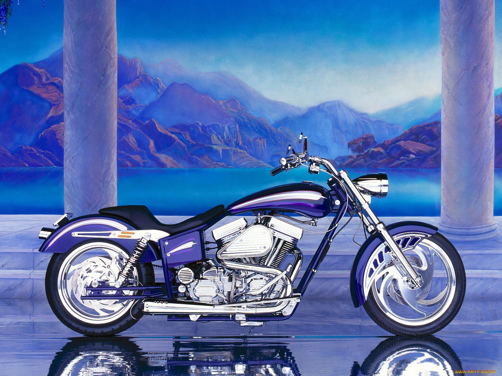 1996, purple, and, black, custom, , customs